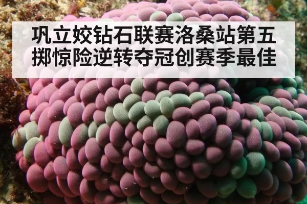 巩立姣钻石联赛洛桑站第五掷惊险逆转夺冠创赛季最佳