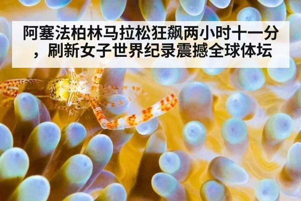 阿塞法柏林马拉松狂飙两小时十一分,刷新女子世界纪录震撼全球体坛